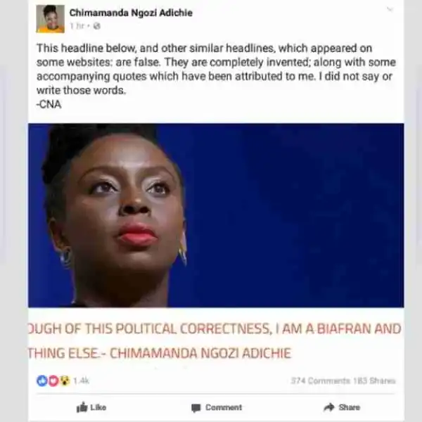 "I Did Not Say I Am A Biafran" - Chimamanda Adichie (Photo)